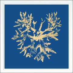 38,75 × 38,75 pulg. – Azul oscuro, Pan de oro