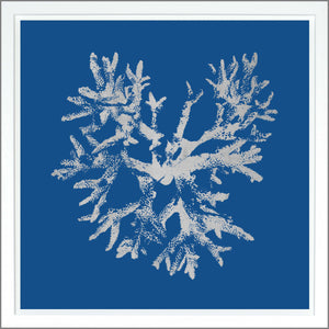 Coral — nature and landscape fine art print shown from another angle