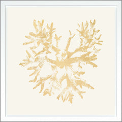 38.75 × 38.75 pulg. – Marfil, Dorado