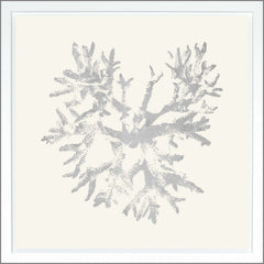 38.75 × 38.75 in – Marfil, Dorado - Plateado