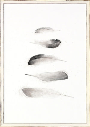 Five Feathers