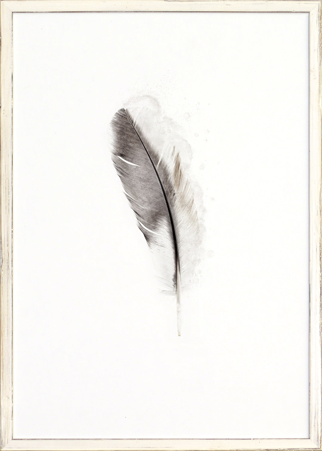 Una Pluma