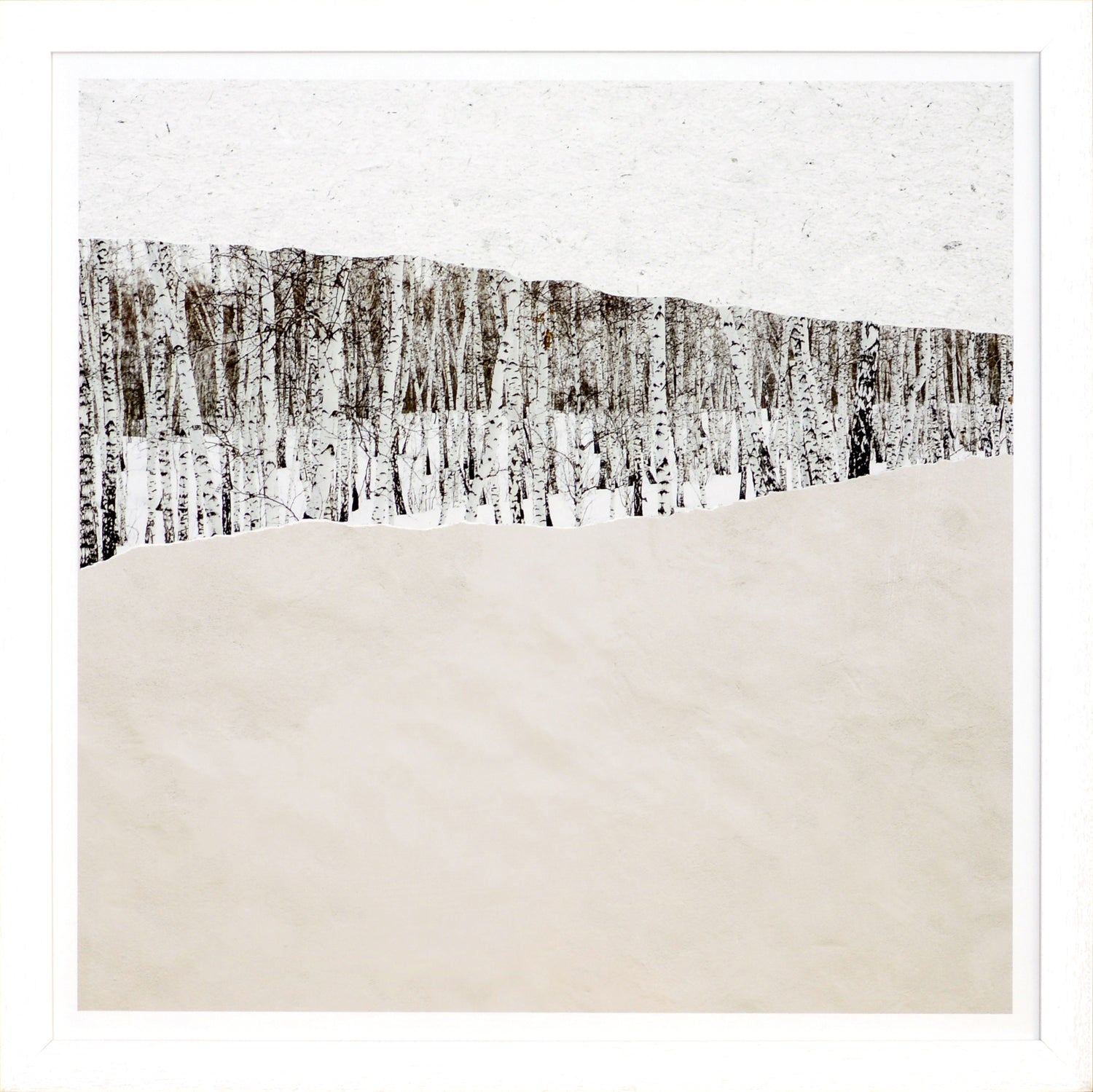 Birches At Sunset wall art depicting birch trees with a textured beige foreground.