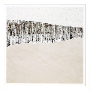 Birches At Sunset wall art depicting birch trees with a textured beige foreground.