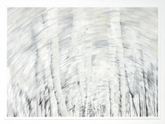 54.75 × 39.75 in – Glass Framed
