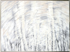 71,25 × 50 po