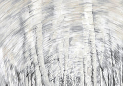 70.25 × 49 in – Gallery Wrap Canvas