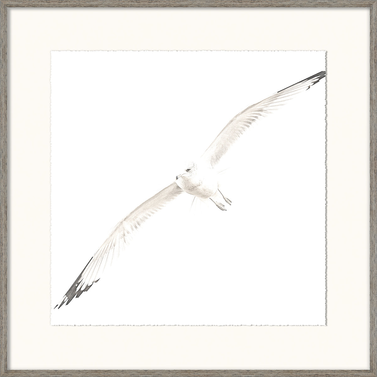 Soar II