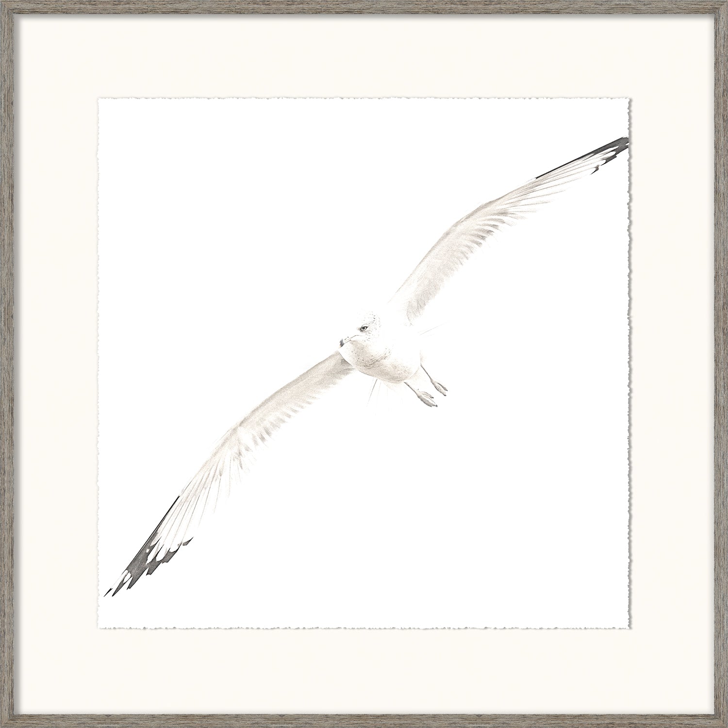 Soar II