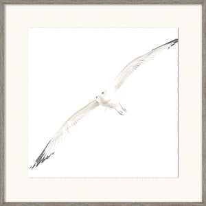 Soar II