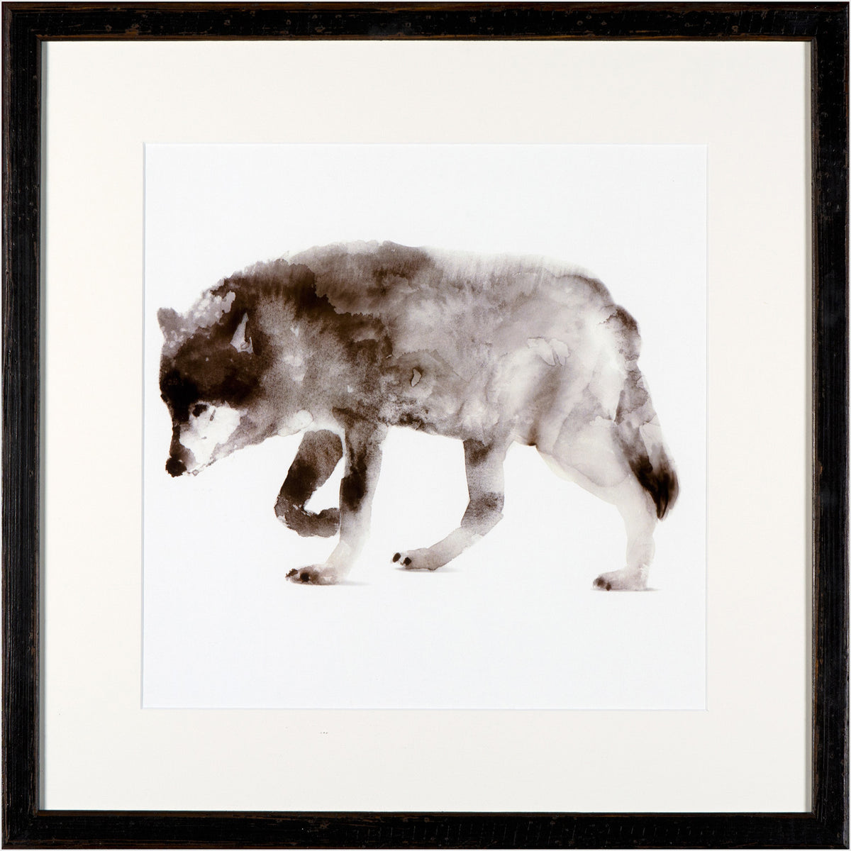 Lobo