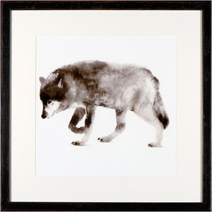 Lobo