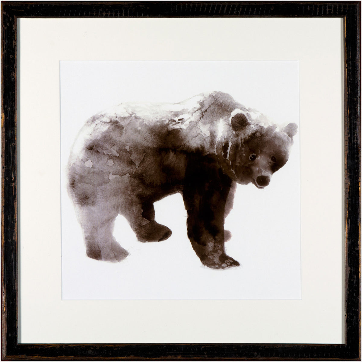 Oso