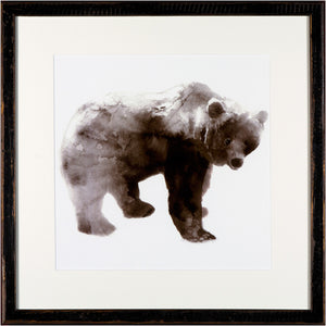 Oso