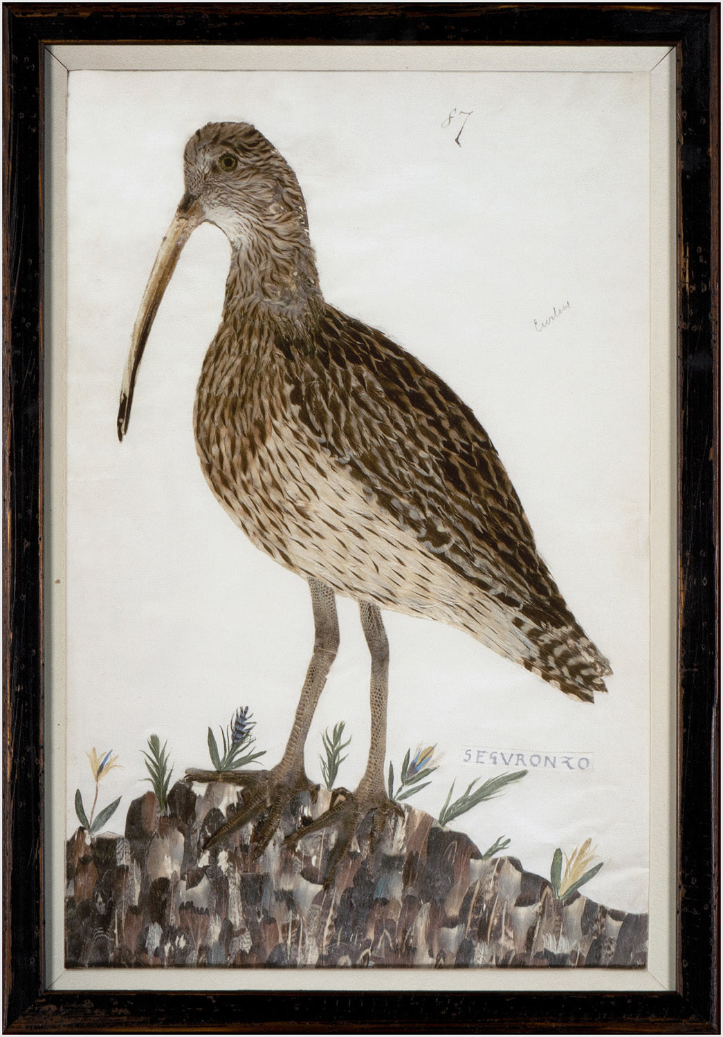 Minaggio Plate 87