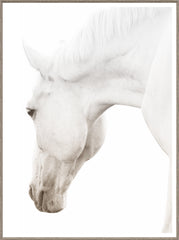 41,25 × 55,25 po