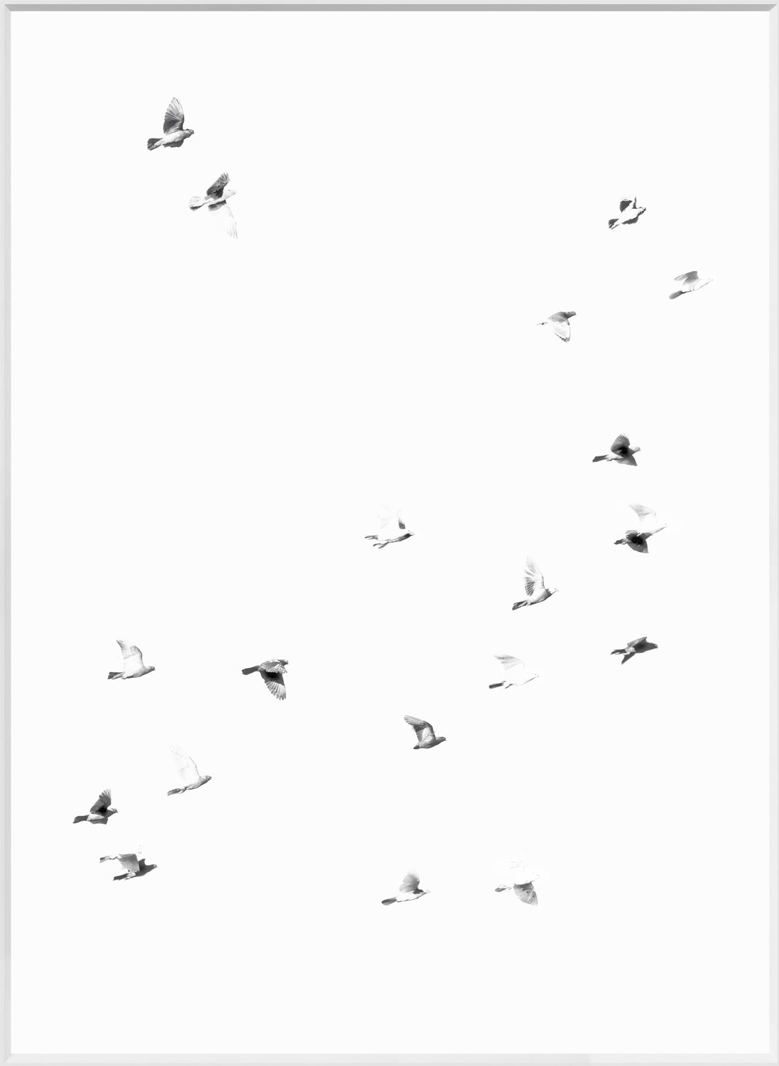 Flight Path I