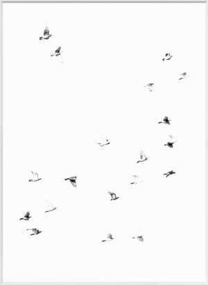 Flight Path I