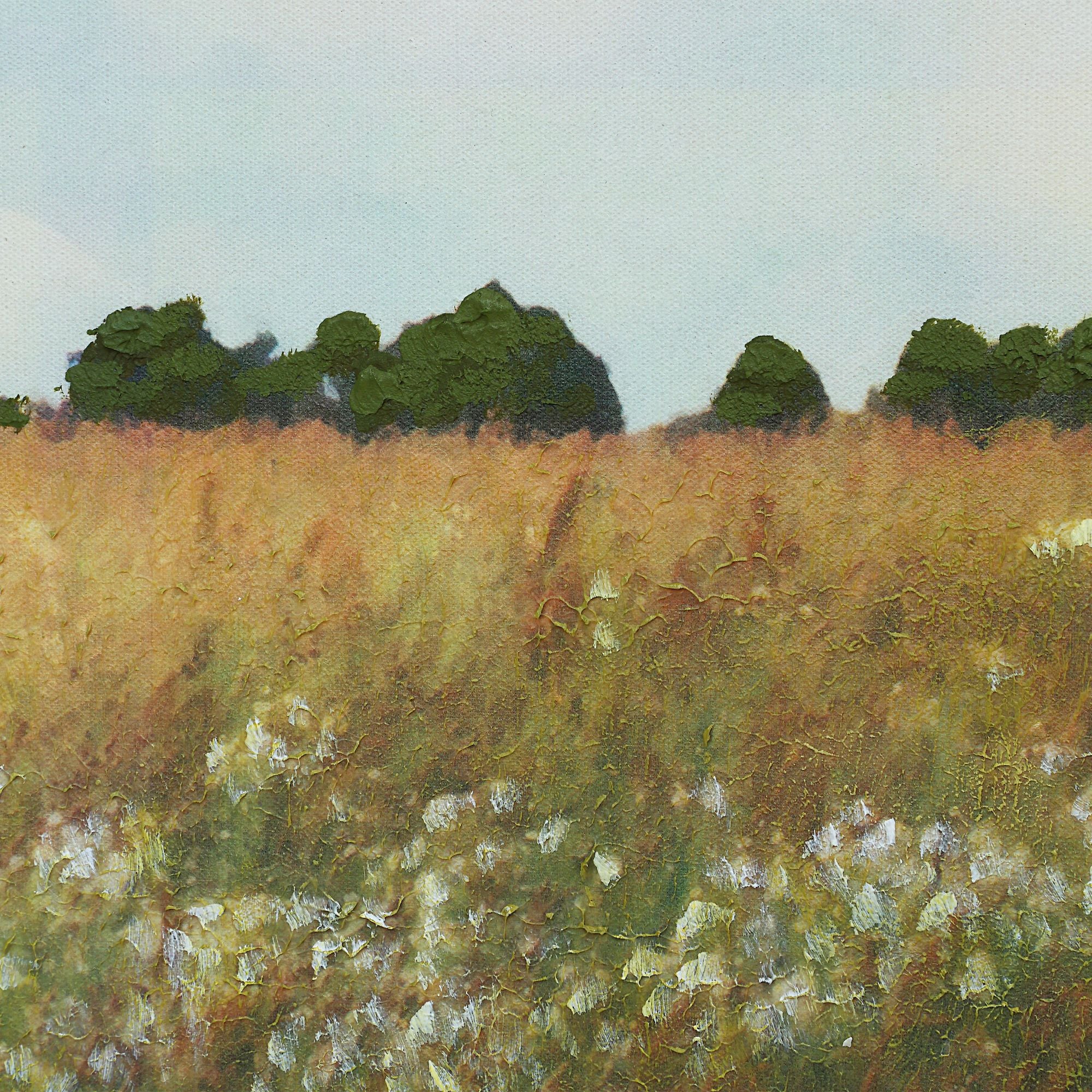 detail view of Lasso luxury Artwork