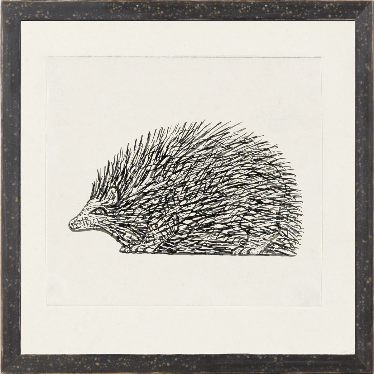 Collection 12 – Gestel, Hedgehog wall art featuring a detailed black and white illustration of a hedgehog.