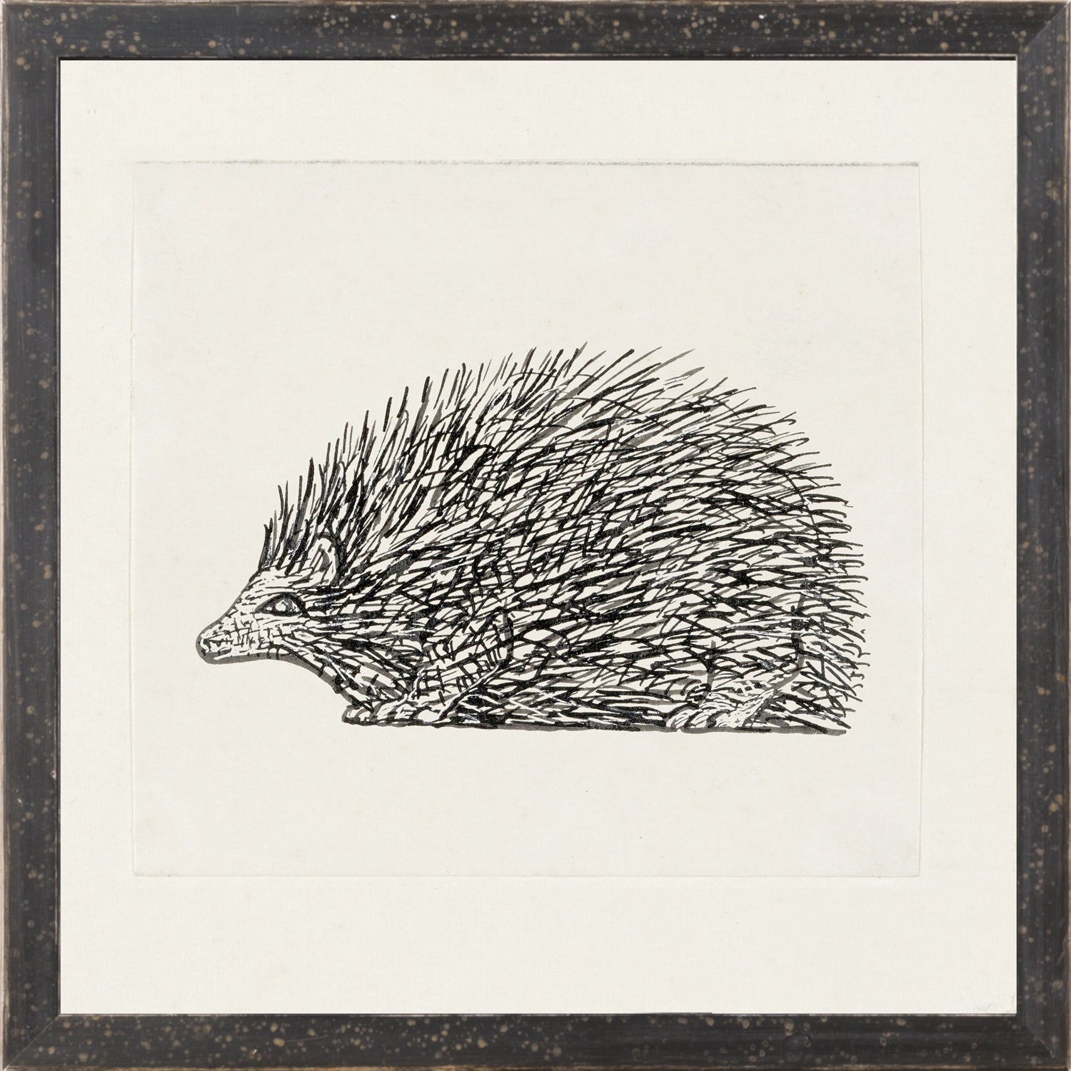 Collection 12 – Gestel, Hedgehog wall art featuring a detailed black and white illustration of a hedgehog.