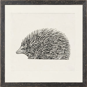 Collection 12 – Gestel, Hedgehog wall art featuring a detailed black and white illustration of a hedgehog.