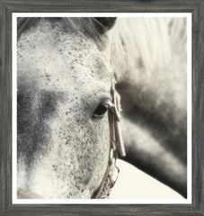 18 × 19 po – Cadre gris
