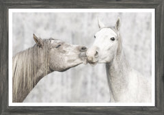 20 × 14 po – Cadre gris