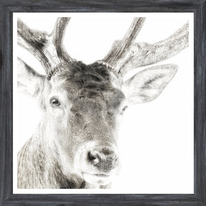 Celtic Myth — nature and landscape fine art print shown from another angle
