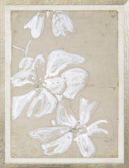 25 × 33 pouces
