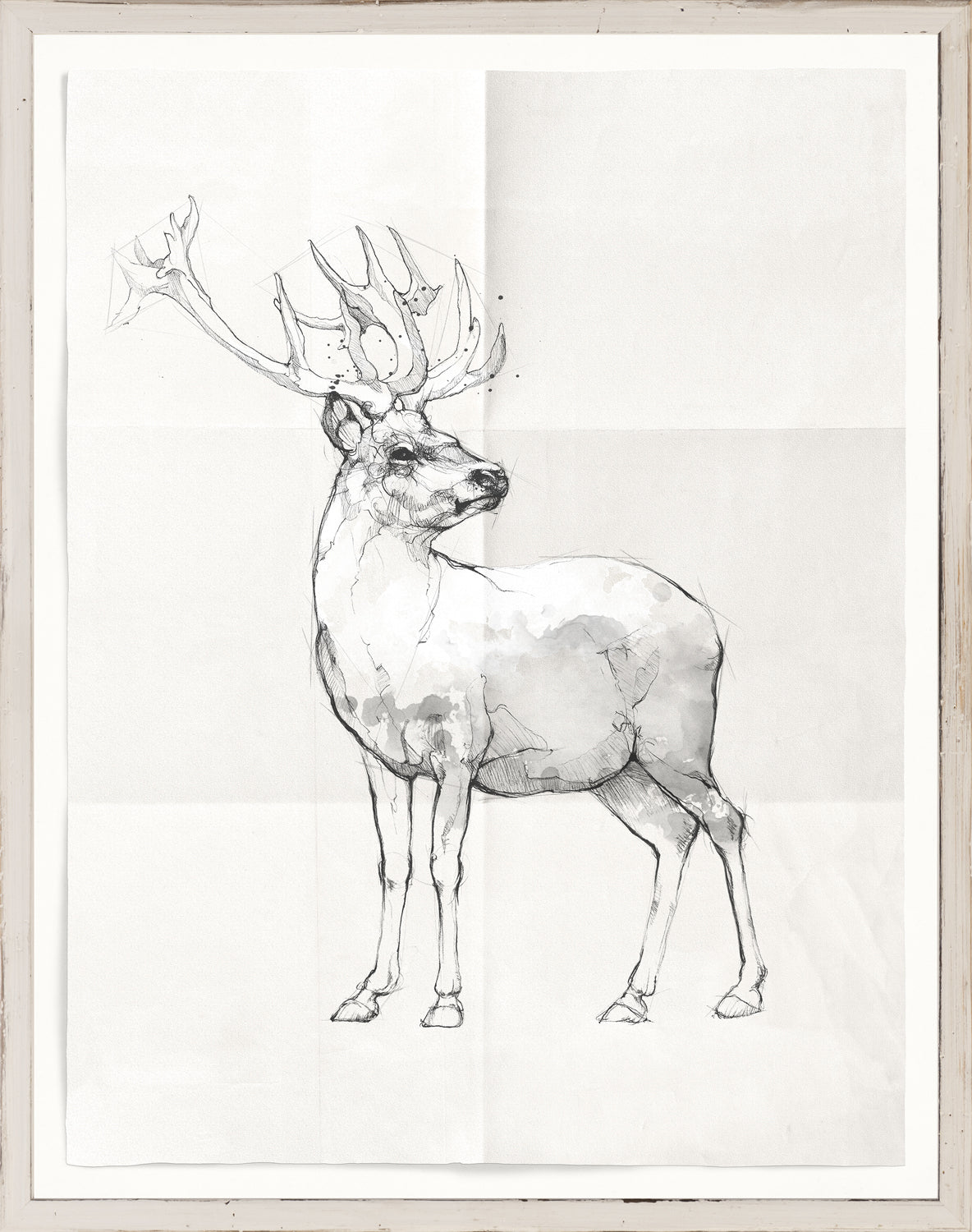 Sketch – Stag wall art featuring a detailed black and white illustration of a stag.
