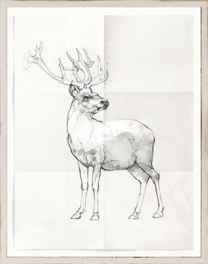 Sketch – Stag wall art featuring a detailed black and white illustration of a stag.