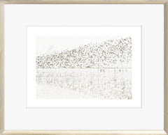 21,25 × 17,25 po