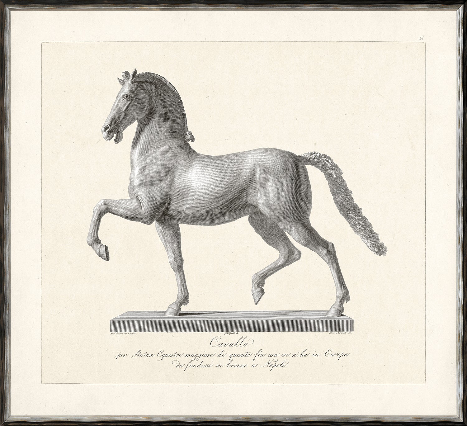 Tête De Cheval – Cuatríptico