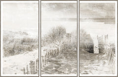 66 × 43 in