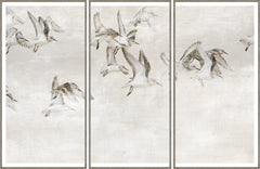 66 × 43 in