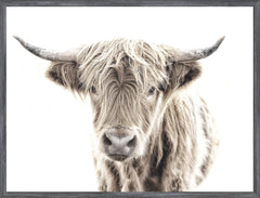 22 × 17 po – Cadre Gris