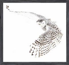 18 × 17 po – Cadre Gris