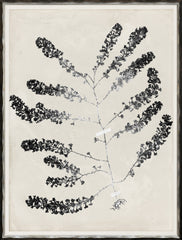 19 × 25 in – Gild Silver