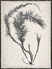 19 × 25 in – Gild Silver