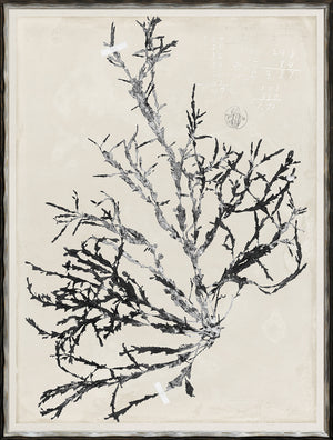 De Mari Series IX framed art print, Gild Silver, 19 × 25 in