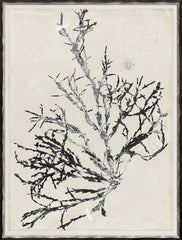 19 × 25 in