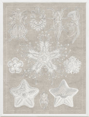 16 × 21 in – Grey