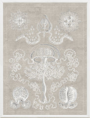 16 × 21 pulgadas
