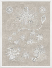 16 × 21 in – Grey