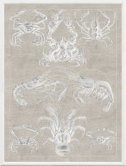 37.5 × 49.5 in – Grey