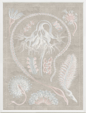 Phyla marins VI