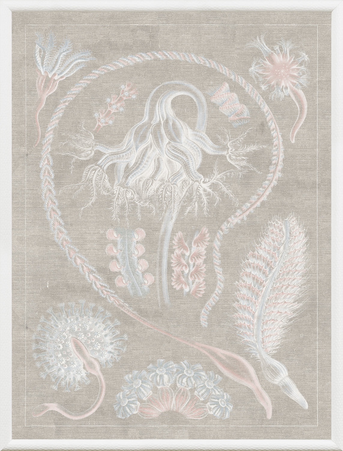 Phyla marins VI