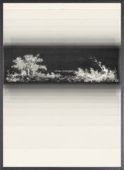 23 × 31 po