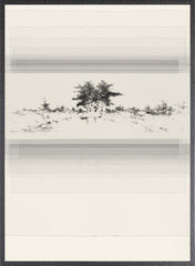 42 × 56 po